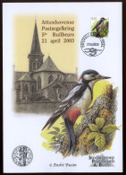 België 3162 - Grote Bonte Specht - Op Herdenkingskaart - 5de Ruilbeurs Attenhovense Postzegelkring 2003 - André Buzin - Cartoline Commemorative - Emissioni Congiunte [HK]