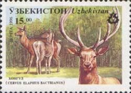 Ouzbékistan - Faune Cerf - Oezbekistan