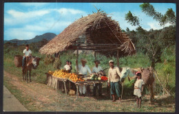 Panama - Puesto Tipico De Frutas - Panama