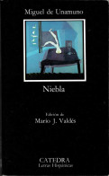 Niebla - Miguel De Unamuno - Literatuur