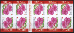 België B45 ON - Postzegelboekje - Carnet - Bloemen - Fleurs - Impatiens - André Buzin - 2001-…