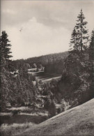 83384 - Johanngeorgenstadt - Im Steinbachtal - 1971 - Johanngeorgenstadt