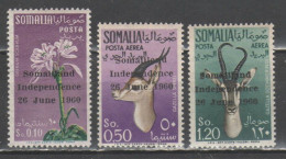 Somalia 1960 - Indipendenza - 2 Scan          (g9608) - Somalië (1960-...)