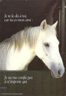 *Carte Photo Cartonnée CPM - Cheval - Je Te Le Dis à Toi, Car Tu Es Mon Ami: Je Ne Me Confie Pas à N'importe Qui - Philosophie & Pensées