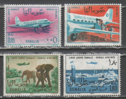 Somalia 1964 - Linee Aeree Posta Aerea            (g9612) - Somalië (1960-...)