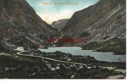 CPA KILLARNEY - IRLANDE - LAP OF DUNLOE - Kerry