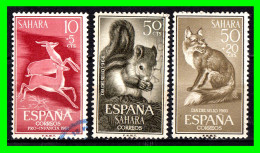 SAHARA COLONIA ESPAÑOLA ( ESPAÑA ) .-  SELLOS  AÑOS 1943 - 65  .- - Spanische Sahara