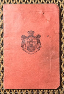 Passport Kingdom Of Yugoslavia Issued In Celje Slovenia 1924. Year Visas France, Austria, (300.) - Documenti Storici