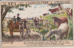 LE SEL DANS L'AGRICULTURE ET L'ELEVAGE - Elevage