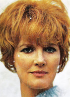 *Photographie Pétula CLARK 17.5 X 13 - Personalidades Famosas