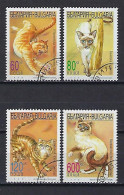 Bulgarie 1998 Chats (66) Yvert N° 3772 à 3775 Oblitérés - Usati