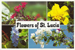 *CPM  - SAINT LUCIA West Indies - Fleurs De Sainte Lucie - Multivue - Santa Lucia