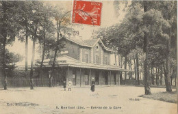 MONTLUEL Entrée De La Gare - Montluel