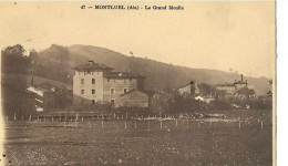 MONTLUEL Le Grand Moulin - Montluel