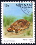 930 Vietnam Tortue Tortues Turtle Turtles Schildkrote Tortuga (VIE-28) - Schildpadden