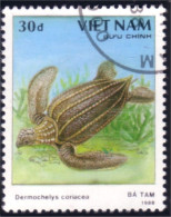 930 Vietnam Tortue Tortues Turtle Turtles Schildkrote Tortuga (VIE-25) - Tortues