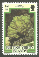 934 British Virgin Islands Algue Algae Seaweed Seetang Alga Marina MNH ** Neuf SC (VIR-48) - Marine Life