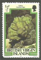 934 British Virgin Islands Algue Algae Seaweed Seetang Alga Marina MNH ** Neuf SC (VIR-48) - Maritiem Leven