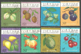 930 Vietnam Fruit Prune Plum Kiwi (VIE-358) - Vietnam