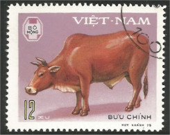 930 Vietnam Boeuf Bull Cow Vache Kuh (VIE-139) - Ferme