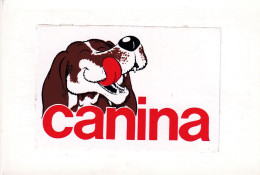 Calendarietto - Canina - Anno 1996 - Petit Format : 1991-00