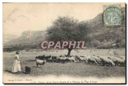 CPA Chaine De La Sainte Baume Et Le Plateau Du Plan D'Aups Moutons - Saint-Maximin-la-Sainte-Baume