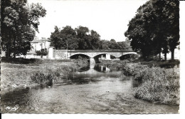 88 - Mirecourt - Le Pont Neuf Et Le Madon - Mirecourt