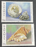 BAHAMAS - MNH** - 2000 - # Shells - Bahamas (1973-...)