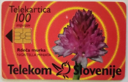 Slovenia 25 Unit Chip Card - Rdeca Murka / Siol Paket - Slovenië
