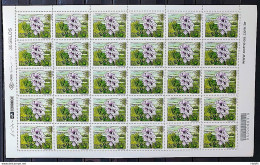 C 2439 Brazil Stamp Flora Mercosur Aguape Flower 2001 Sheet - Ungebraucht