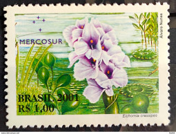 C 2439 Brazil Stamp Flora Do Mercosul Aguapé Flower 2001 - Ungebraucht