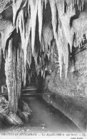 65-SAINT PE DE BIGORRE GROTTES DE BETHARRAM-N°T2970-H/0291 - Saint Pe De Bigorre