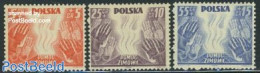 Poland 1938 Winter Aid 3v, Unused (hinged) - Unused Stamps