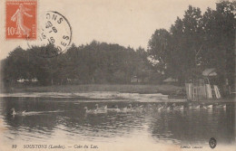 C14-40) SOUSTONS (LANDES)  COIN DU LAC - CANARDS  - EDIT. LACAZE - 1916  - Soustons