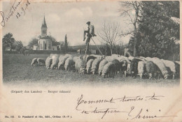 C18-40) MORCENX (LANDES) BERGER ECHASSIER AVES TROUPEAU DE MOUTONS - 1902 - ( 2 SCANS ) - Morcenx