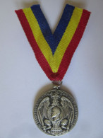 Roumanie Medaille 1913:En Souvenir De L'elan Edifiant/Romanian Medal 1913:In Memory Of The Uplifting Momentum - Other & Unclassified