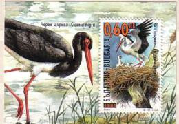 2000 Fauna  BIRDS - Stork   S/S-MNH  BULGARIA / Bulgarie - Cicogne & Ciconiformi