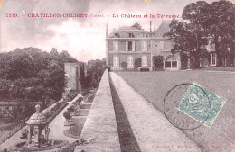 45-CHATILLON COLIGNY -N°C4070-G/0263 - Chatillon Coligny