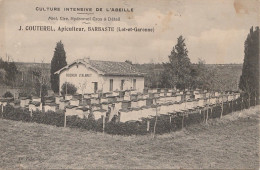 47) LAVARDAC - BARBASTE - APICULTURE - CULTURE INTENSIVE DE L'ABEILLE - J. COUTEREL - APICULTEUR - RUCHER - 2 S CANS) - Lavardac