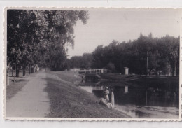 X1- ISMAILIA - EGYPT - EGYPTE - CARTE PHOTO - CANAL D'EAU DOUCE - ROUTE DE L' HOPITAL - ( 2 SCANS ) - Ismailia