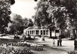 LUXEMBOURG - Mondorf Les Bains - Les Thermes - Jardin - Animé - Carte Postale - Mondorf-les-Bains