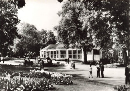 LUXEMBOURG - Mondorf Les Bains - Les Thermes - Animé - Carte Postale - Mondorf-les-Bains