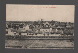 CPA - 45 - Chatillon-Coligny - Vue Générale - Circulée En 1905 - Chatillon Coligny