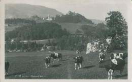 Année 1931 - GRUYERES - TTB - Andere & Zonder Classificatie