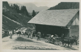 Année 1930 - En Route Pour L'Alpage ( Mothélon ) - TTB - Andere & Zonder Classificatie