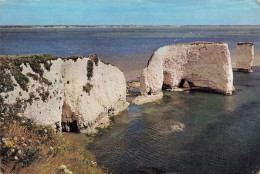 ROYAUME UNI - Dorset - Old Nacry Rocks Near Studland - Colorisé - Carte Postale - Otros & Sin Clasificación