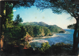 FRANCE - Falaises Tourmentées Du Cap Sicié - Perspective Sur Notre Dame Du Mai - Carte Postale - Six-Fours-les-Plages