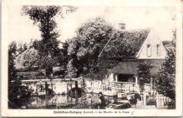45 CHATILLON COLIGNY - Le Moulin De La Fosse - Chatillon Coligny