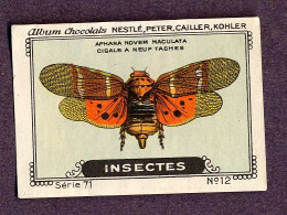 Nestlé - 71 - Insectes, Insects - 12 - Aphana Novem Maculata - Nestlé
