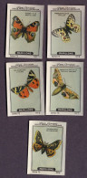 Nestlé - 73 - Papillons, Butterflies - Part Of Serie - Nestlé